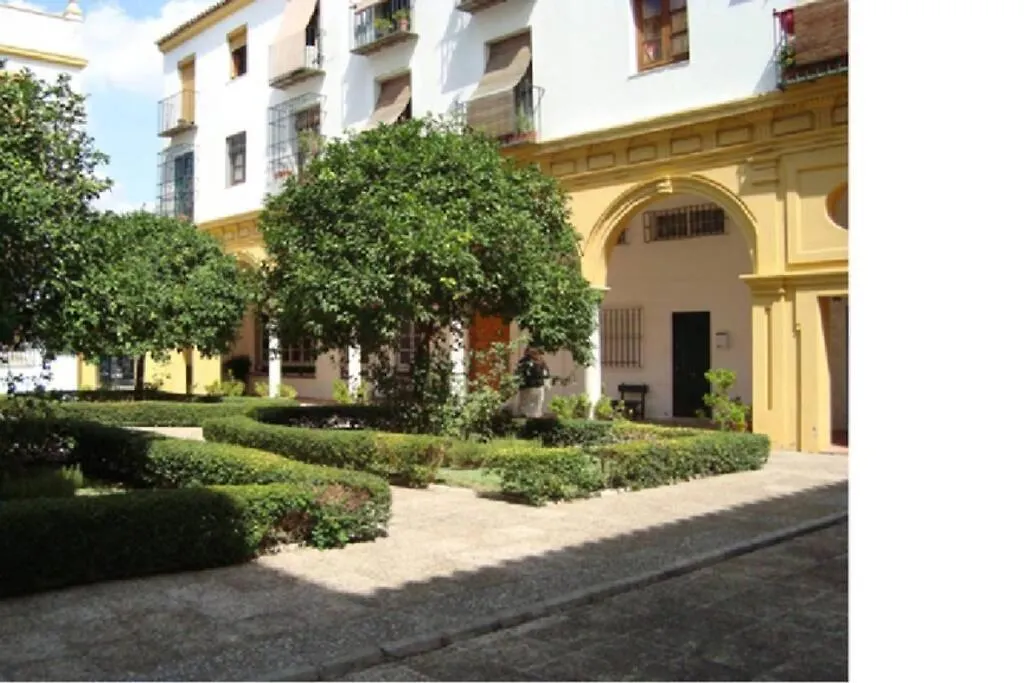 Céntrico y amplio apartamento 100% equipado Jerez de la Frontera 0*,